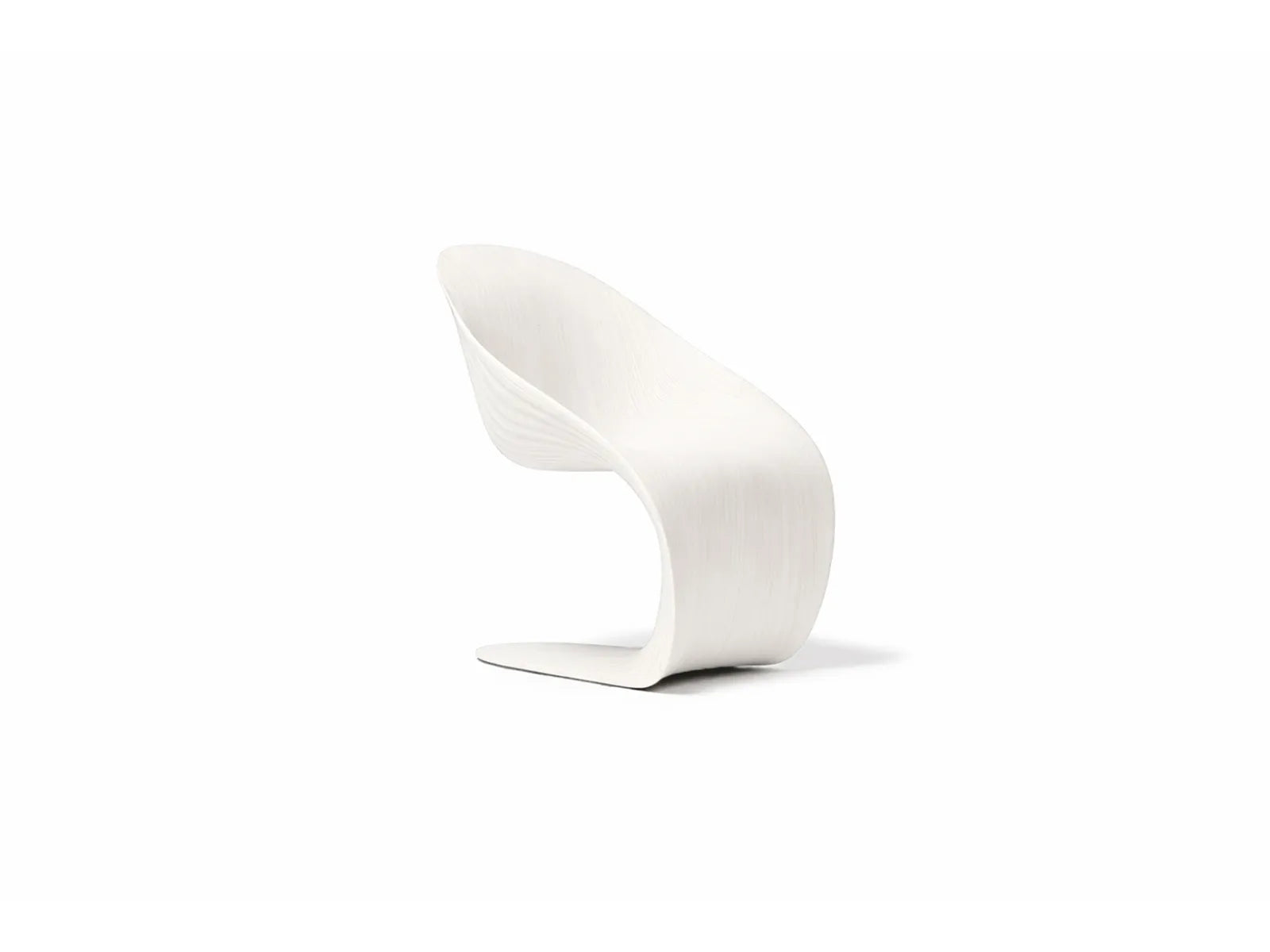 Palm dining chair