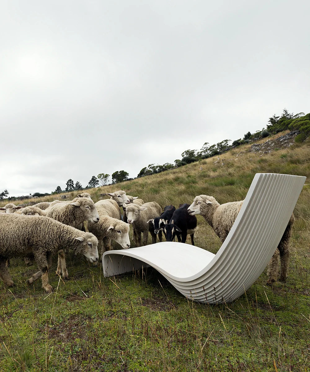 How Nature's Symbolism Transformed Piegatto's Designs